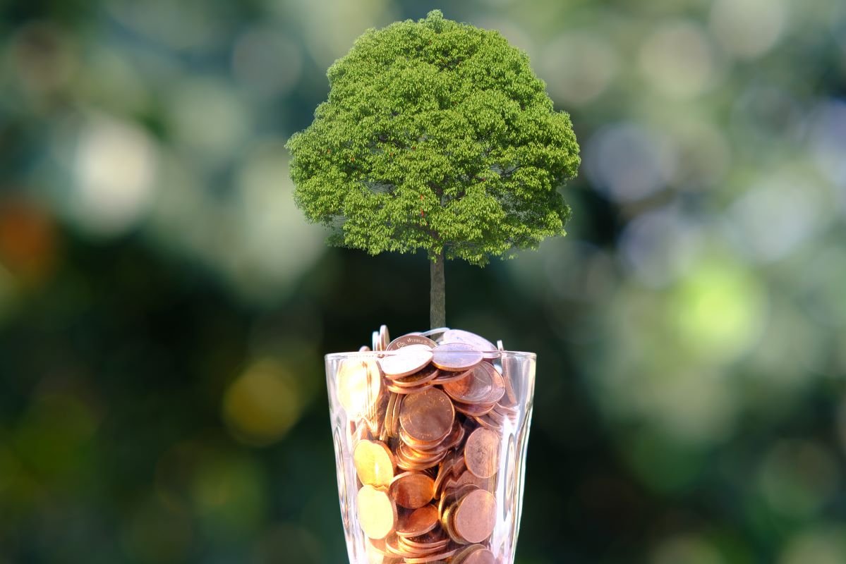 Cerah soroti risiko penyempitan dana aksi iklim RI usai AS keluar dari UNFCCC