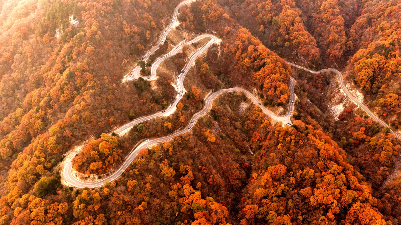 马鬃岭秋色