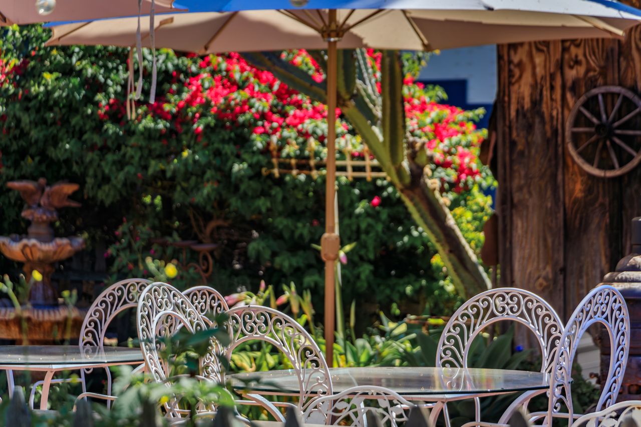 Patio with ornate chairs and umbrellas garden and trees in the background