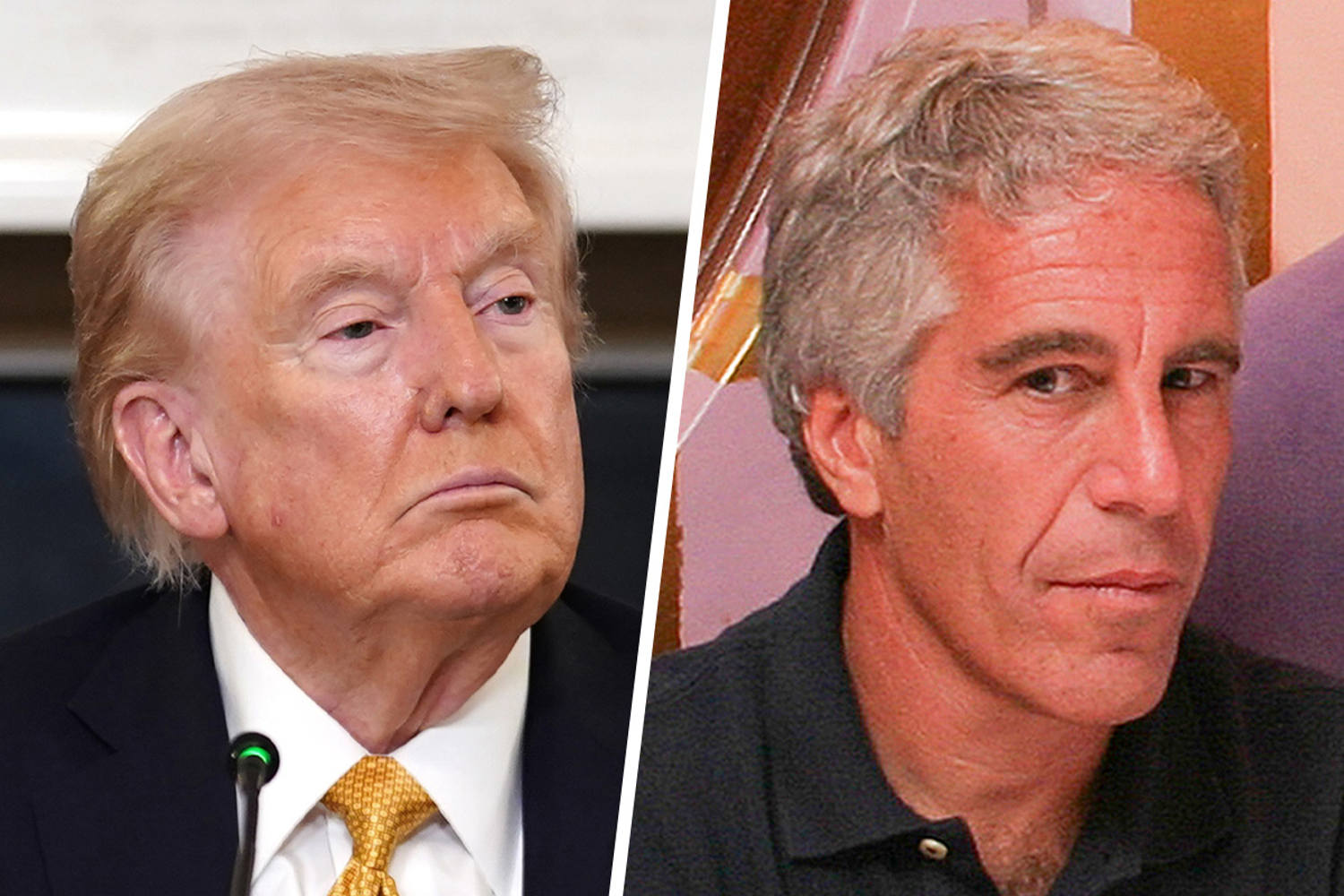 Maddow Blog | Trump’s vow to sign Epstein Files Transparency Act comes ...