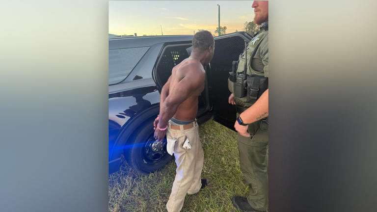 Florida man accused of stabbing woman to death outside Dollar General ...