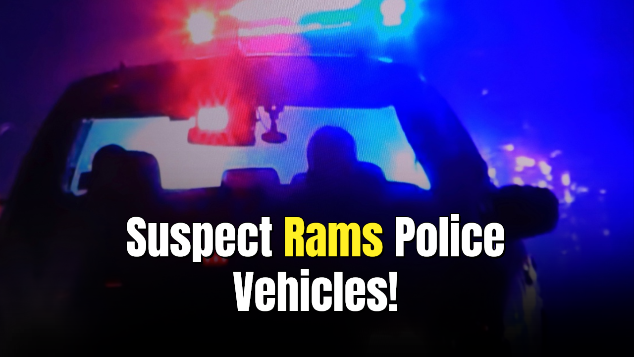 Officer Injured As Suspect Rams Police Vehicles In Charlotte ICE ...