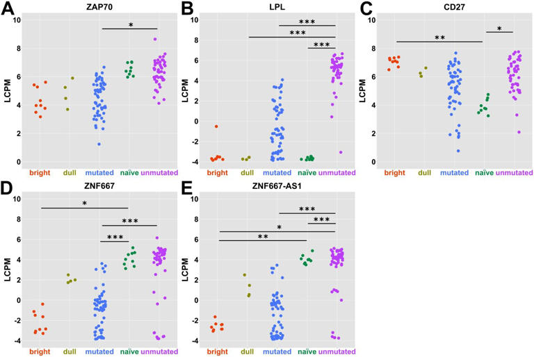 Chronic lymphocytic leukemia: New origins and biomarkers revealed