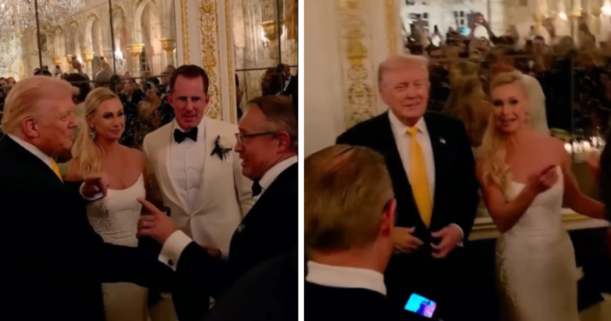The One Where Donald Trump Crashes a MaraLago Wedding Viral Video