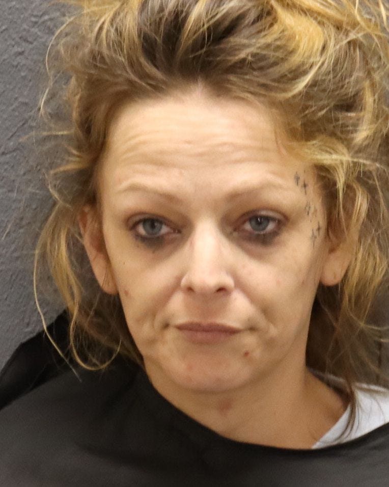 Two facing drug charges after traffic stop in Oconee County