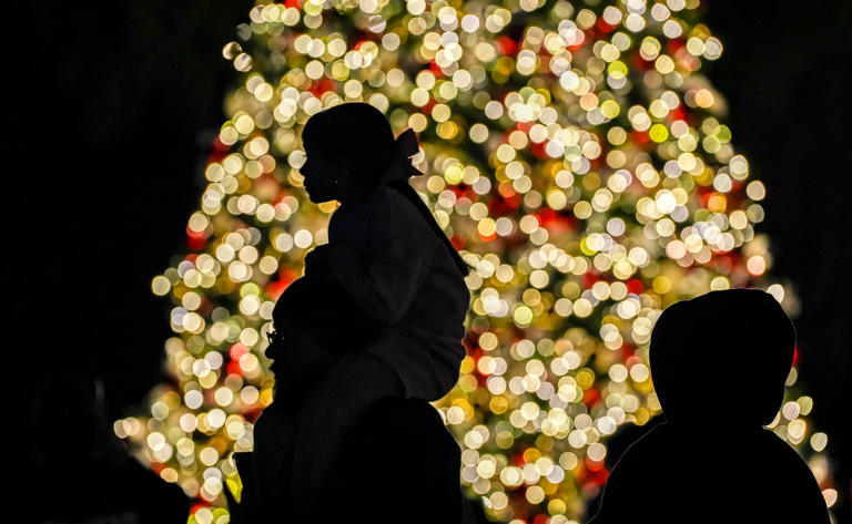Ultimate guide to holiday tree lightings, shows, family events in the ...