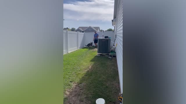 K-9 unit assists family in announcing baby's gender