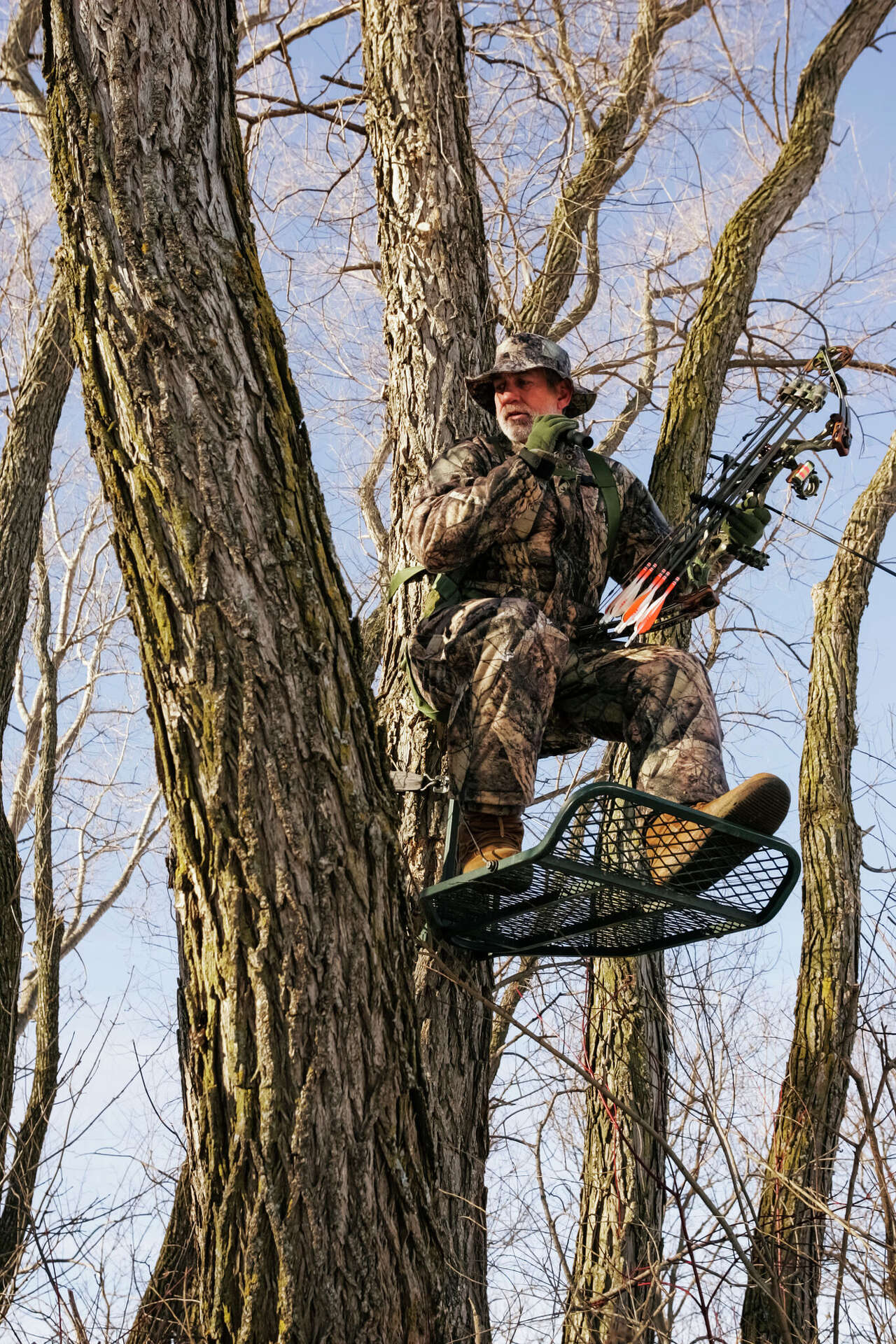 Illinois deer hunters reminded to keep safety in mind when using tree ...