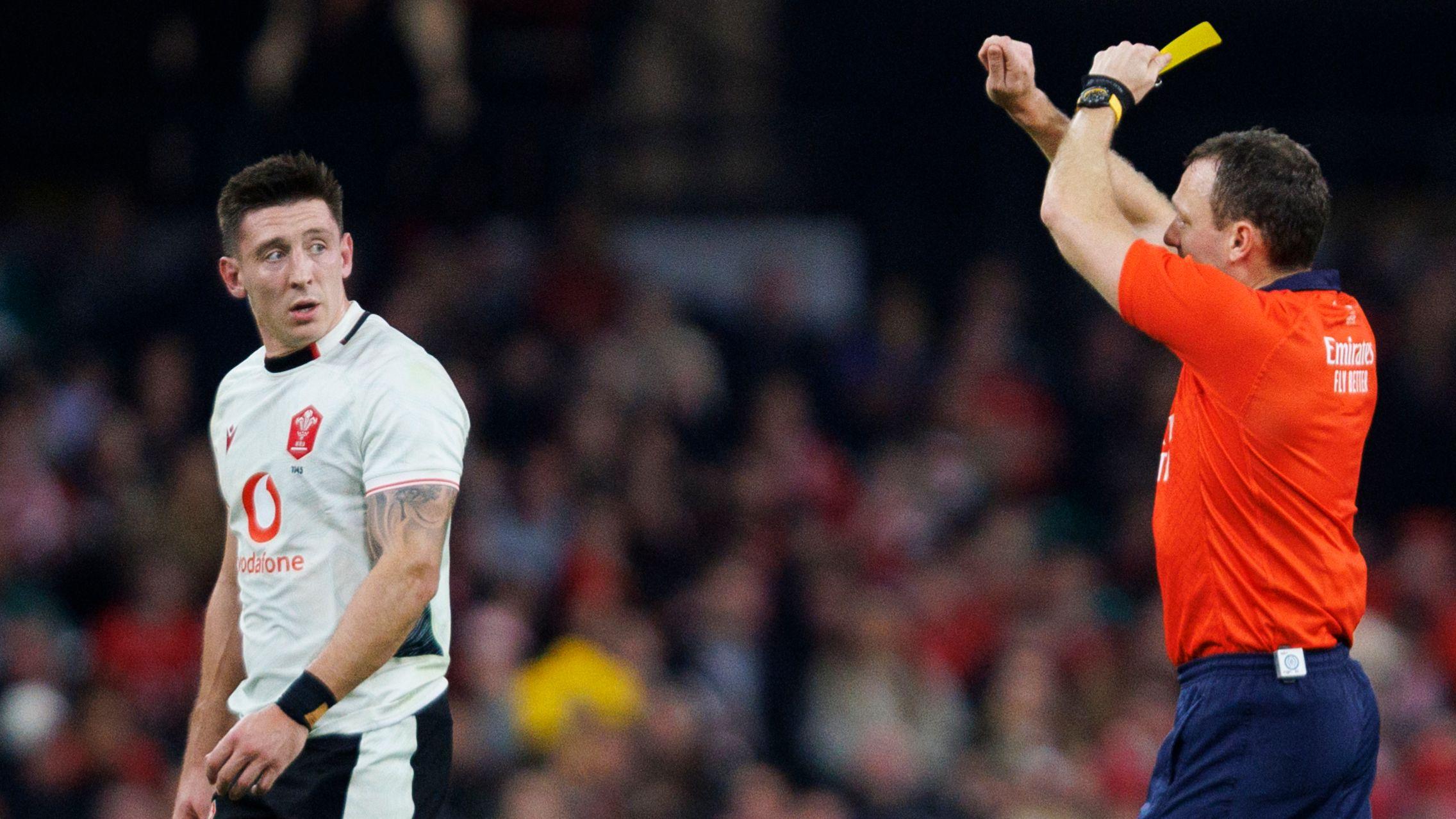 Adams banned for Wales #39 remaining autumn Tests