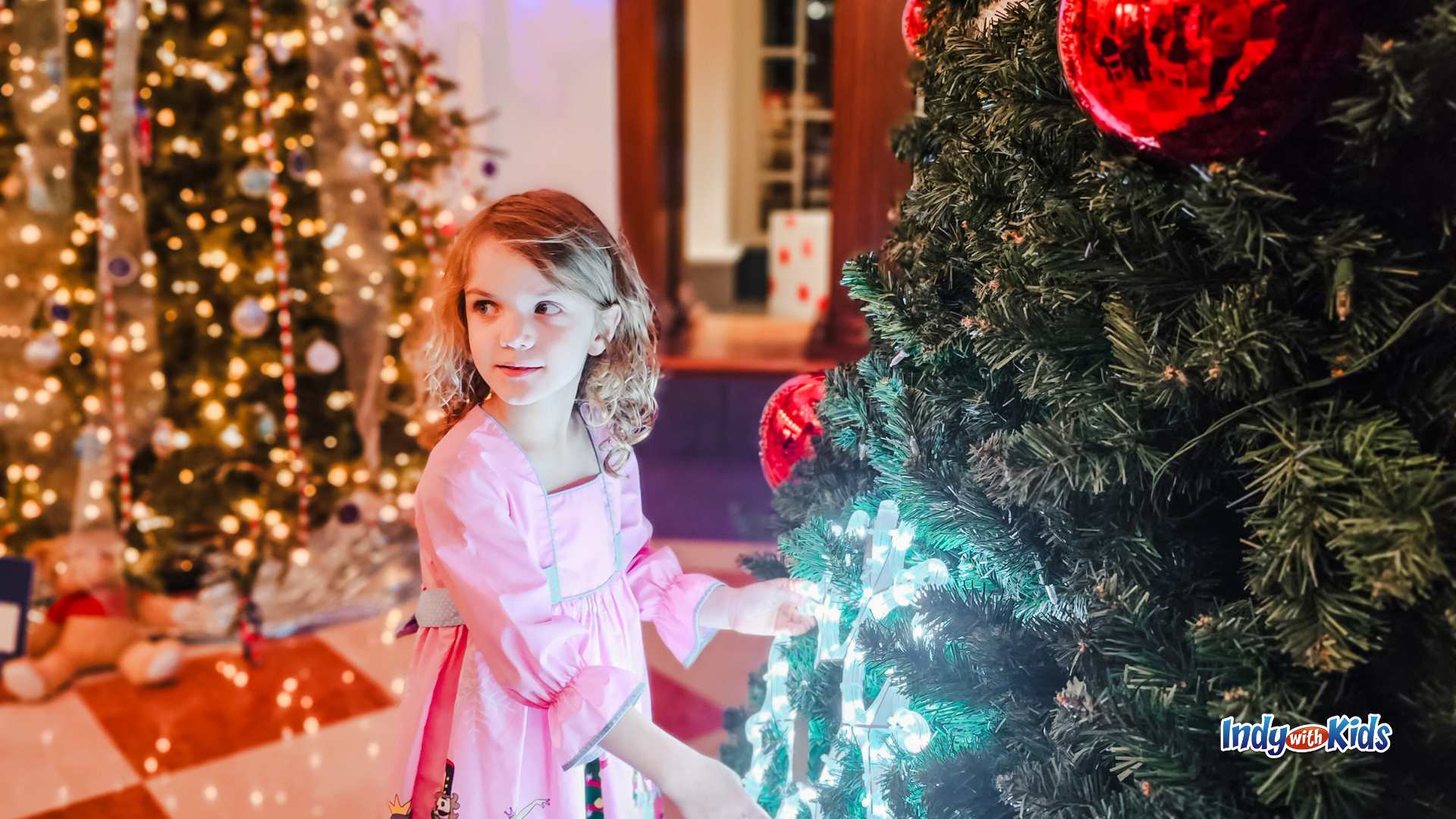 Find Holiday Magic at the Festival of Trees