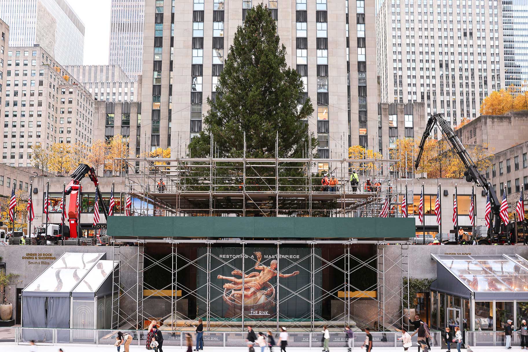 where-did-the-rockefeller-center-christmas-tree-come-from-this-year-2025