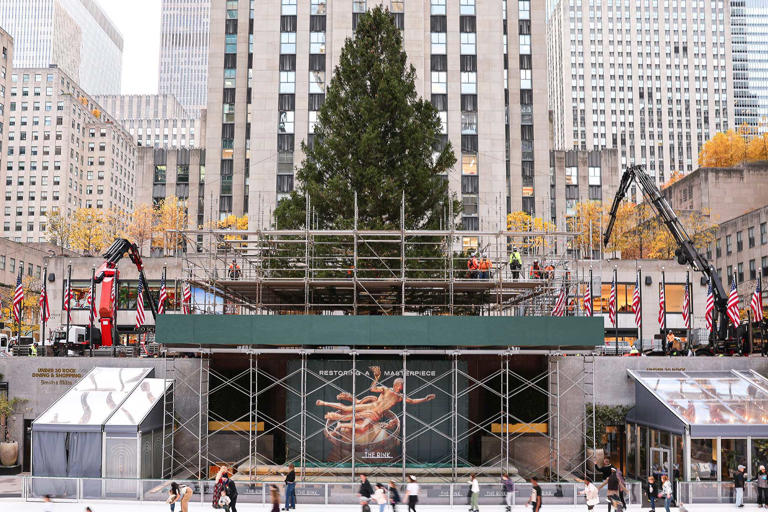 where-did-the-rockefeller-center-christmas-tree-come-from-this-year-2025