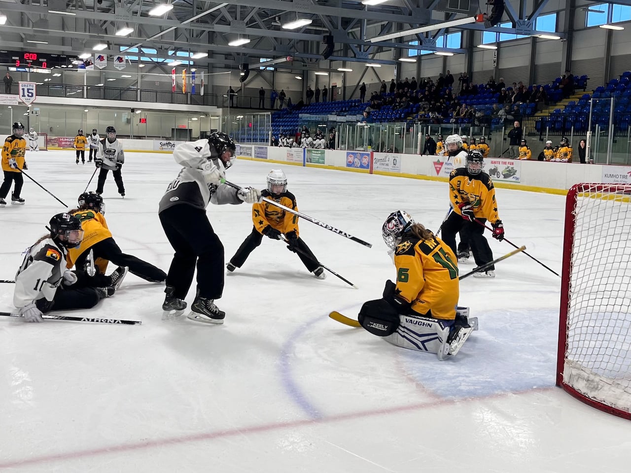 'It is amazing what's happening': Fredericton ringette pioneers reflect ...