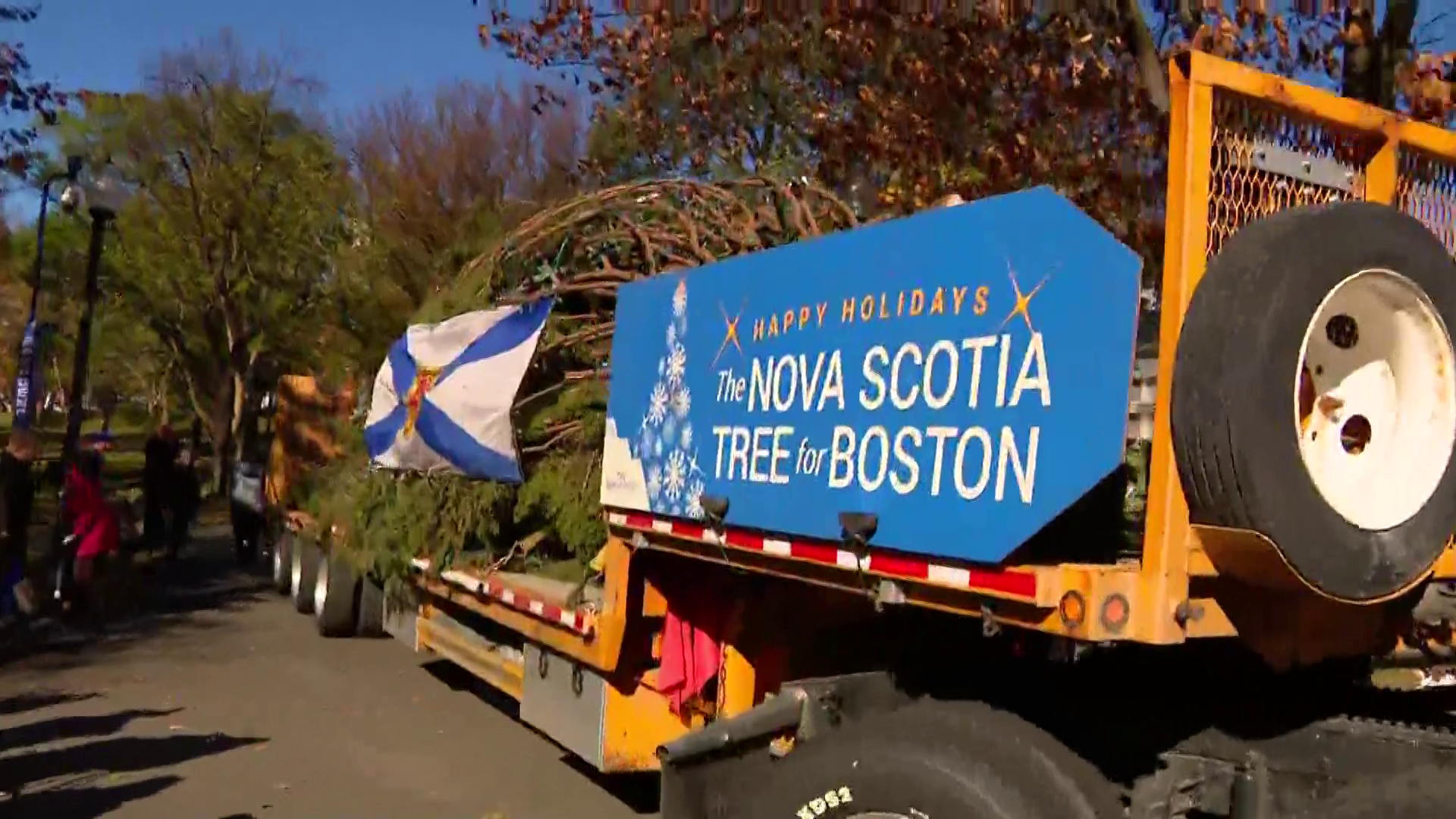 Boston's official Christmas tree arrives