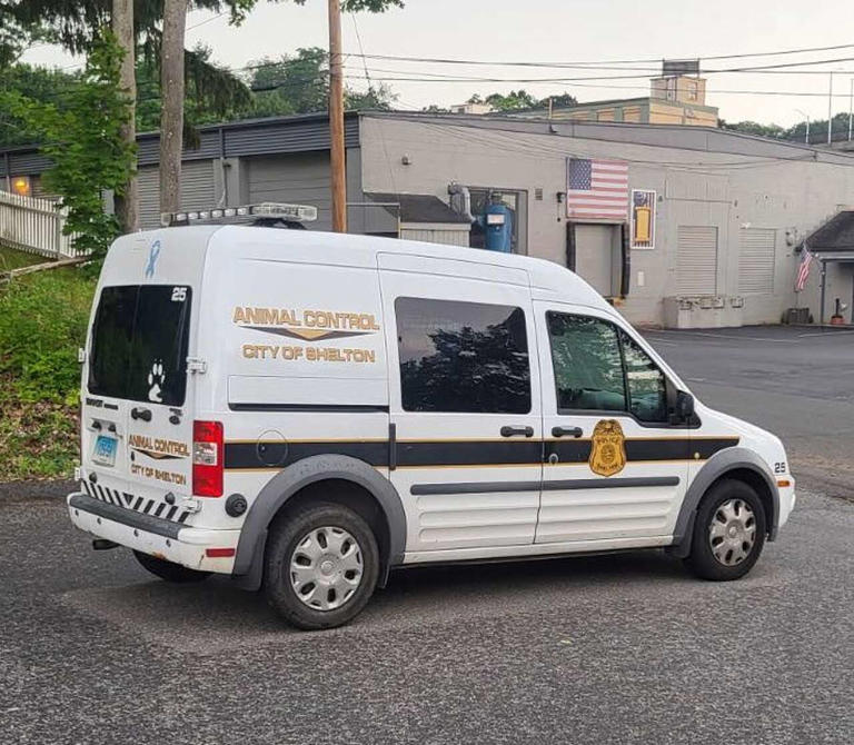 Derby police find suspect in animal cruelty case after dog found dead ...