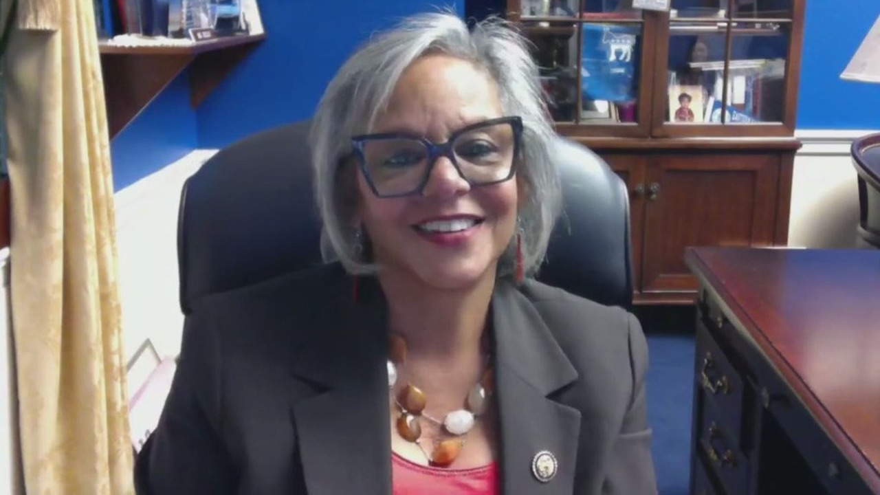 Robin Kelly slams GOP over shutdown and ICE raids in Chicago, eyes ...
