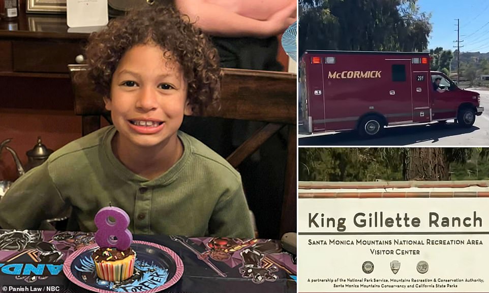 Boy, 8, killed by falling tree branch at camp