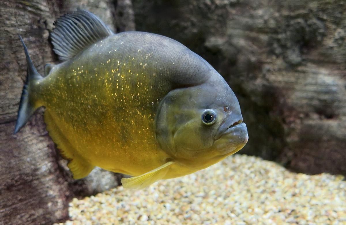 AA1QHFwU - Info Malang Raya