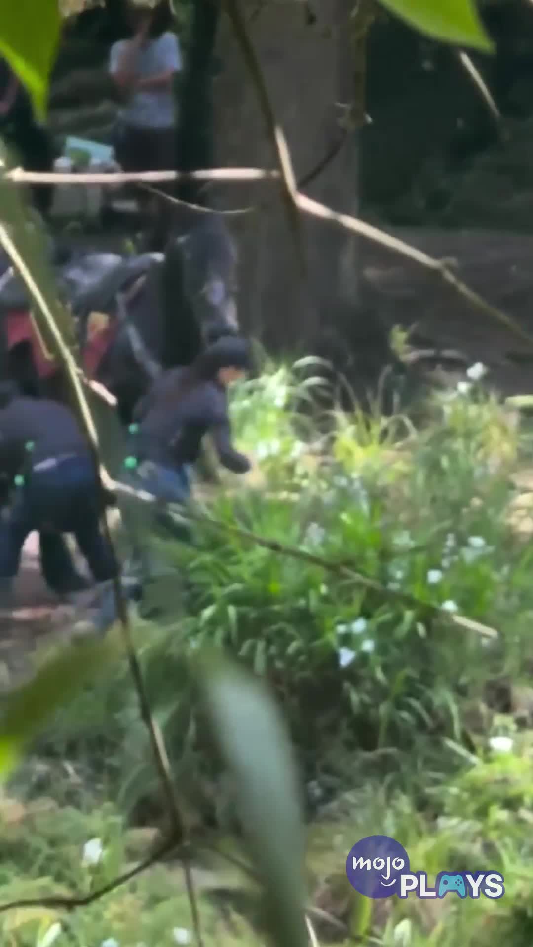 The Legend Of Zelda Movie Set Photo Leaks