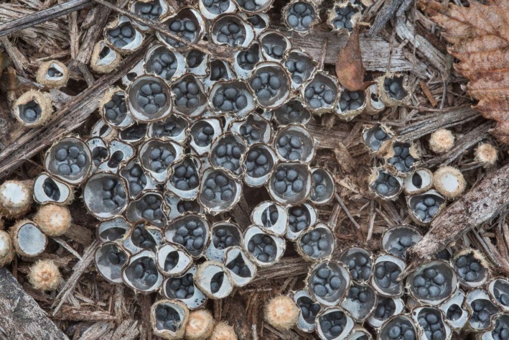 AA1QHley - Info Malang Raya