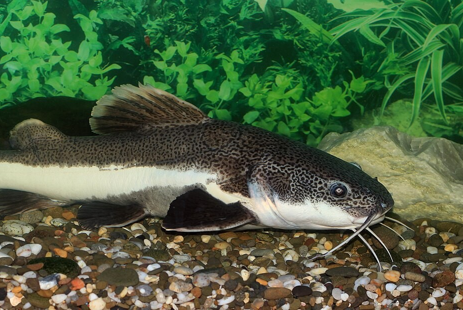 AA1QHpsR - Info Malang Raya