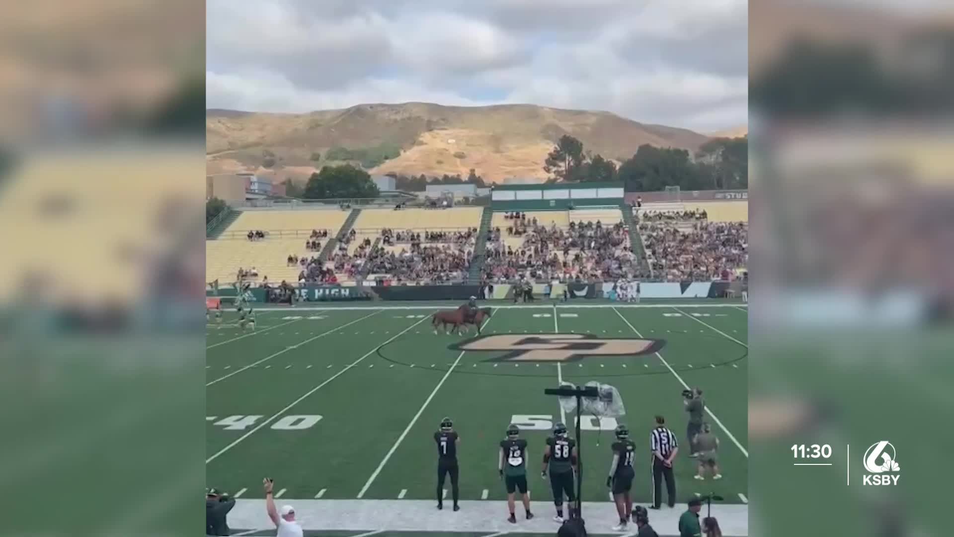 Cal Poly’s beloved mustang mascot to retire