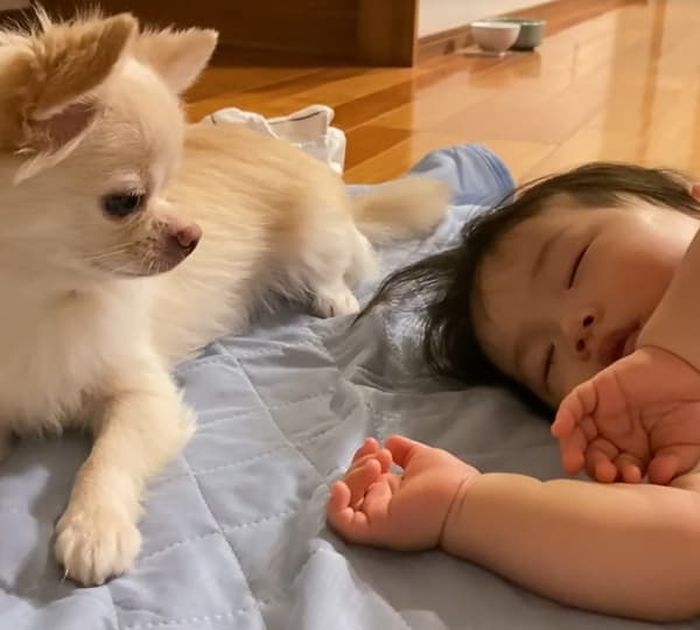 Catherine Zeta-Jones, 56, flaunts wrinkle-free face at Wednesday event