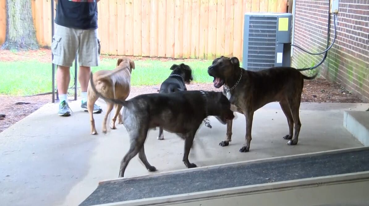 Montgomery City Council confronts vicious dog