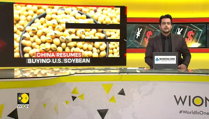 China-U.S.: China Resumes Massive Soybean Purchases from the U.S. in 2025