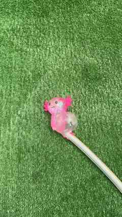 An Axolotl Somehow Flooded My Whole Garden