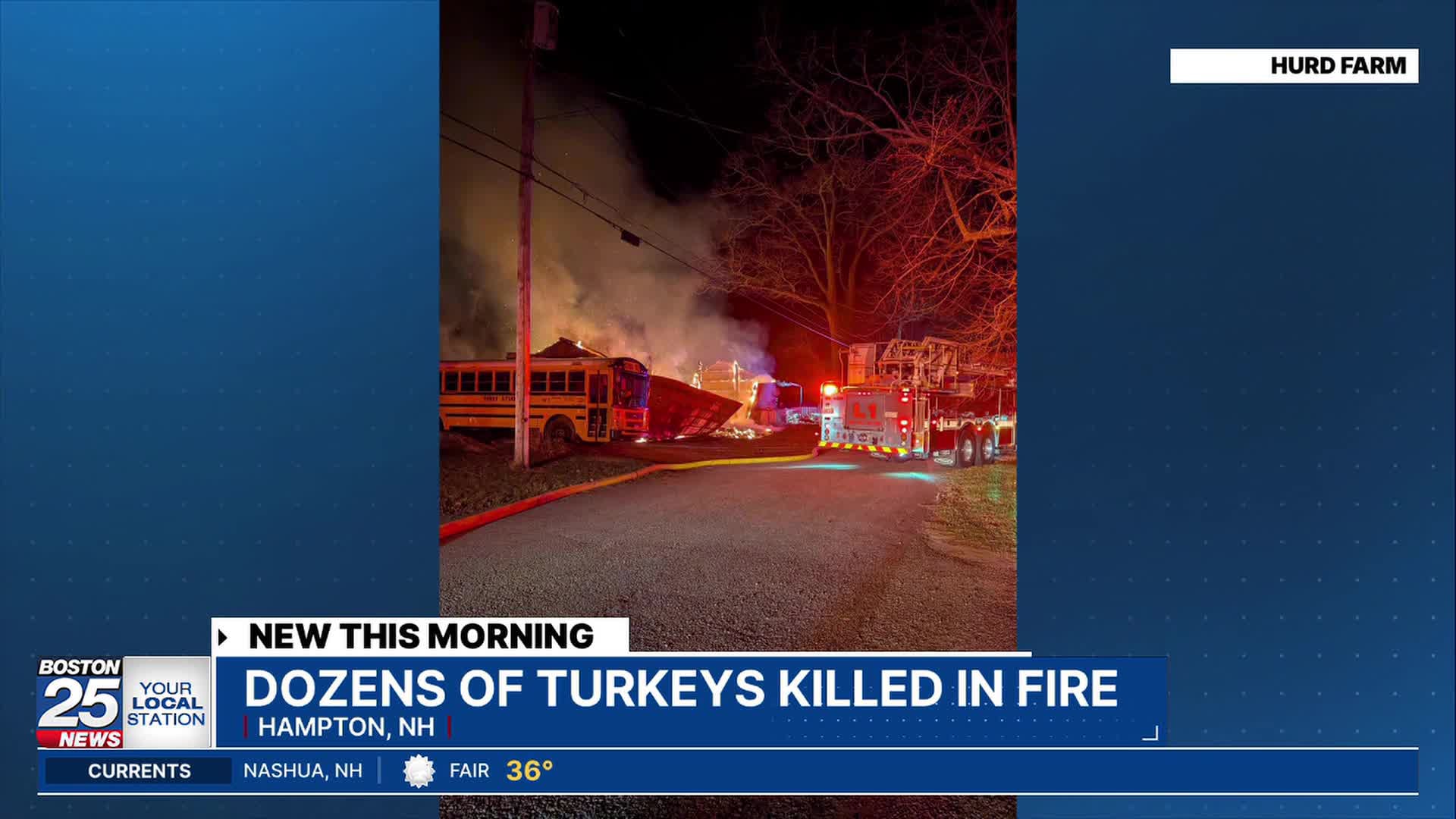Dozens of birds killed in fire at New Hampshire turkey farm ahead of ...