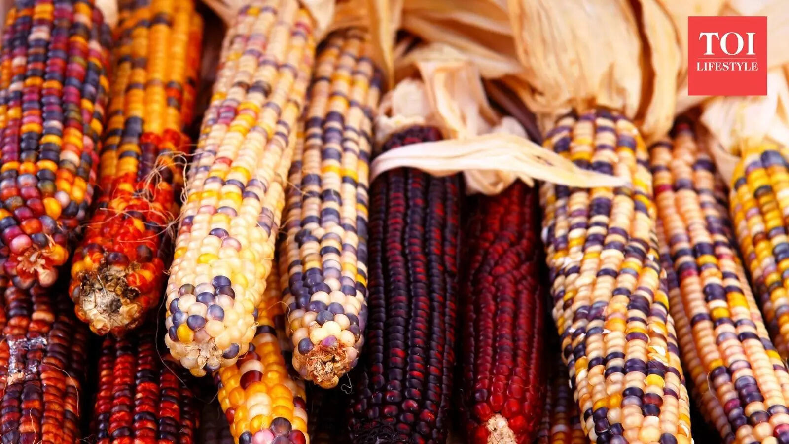 From purple to black: 10 types of corn from across the world