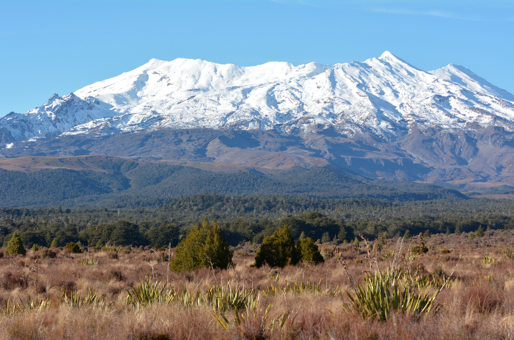 New Zealand’s North or South Island?
