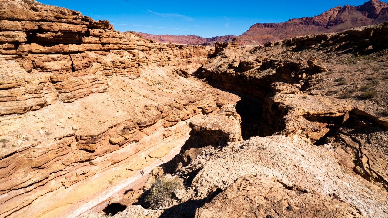 Extraordinary new archaeological finds across America