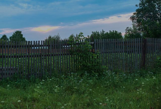 How to Get Rid of Fruit Flies - Food Network