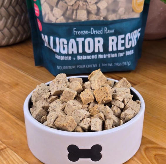 Alligator Recipe Shepherd Boy Farms