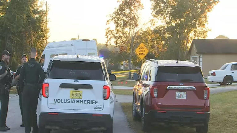 Bullets fired into Deltona home overnight
