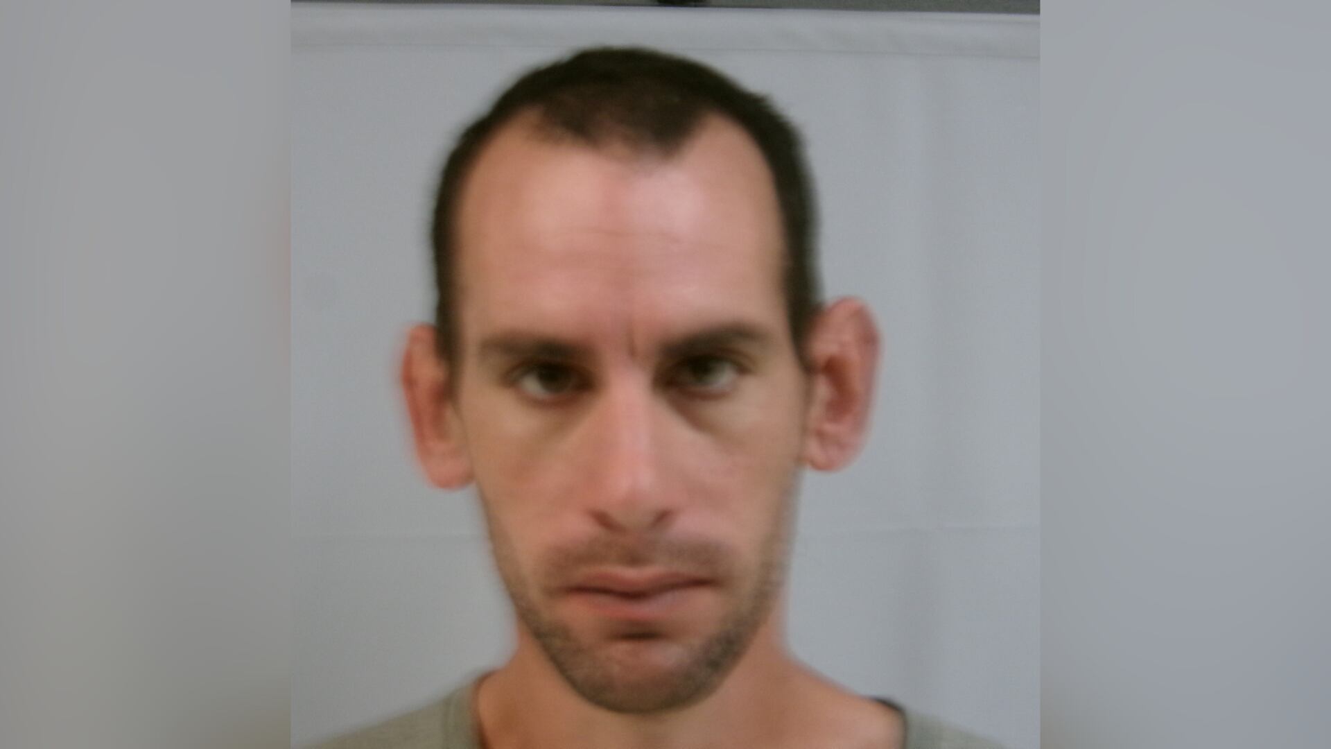 Man arrested for 31 counts of animal cruelty in Randolph County