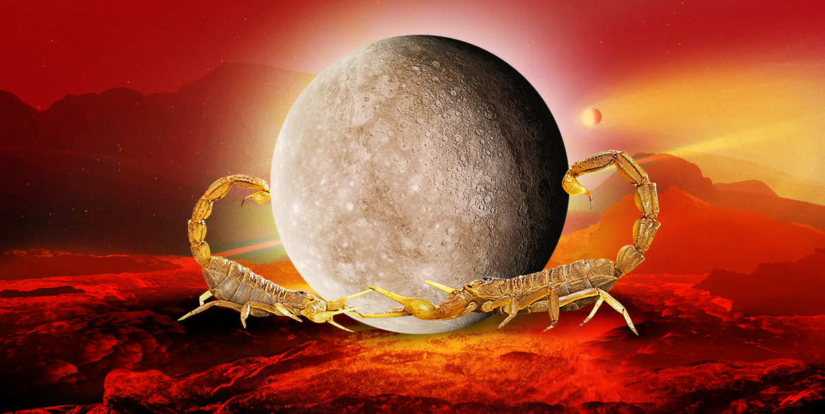 This New Moon in Scorpio Is Bringing Everything to the Surface