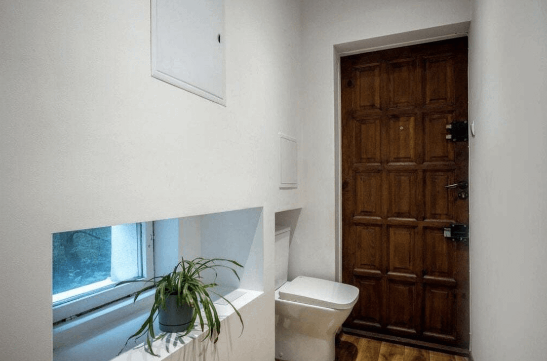 Minimalist bathroom with a potted plant and a wooden door. Bright natural light from a small window illuminates the space