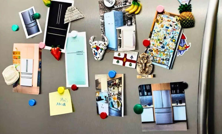 Bosch Finally Exposes What Fridge Magnets Are Actually Doing to Your ...