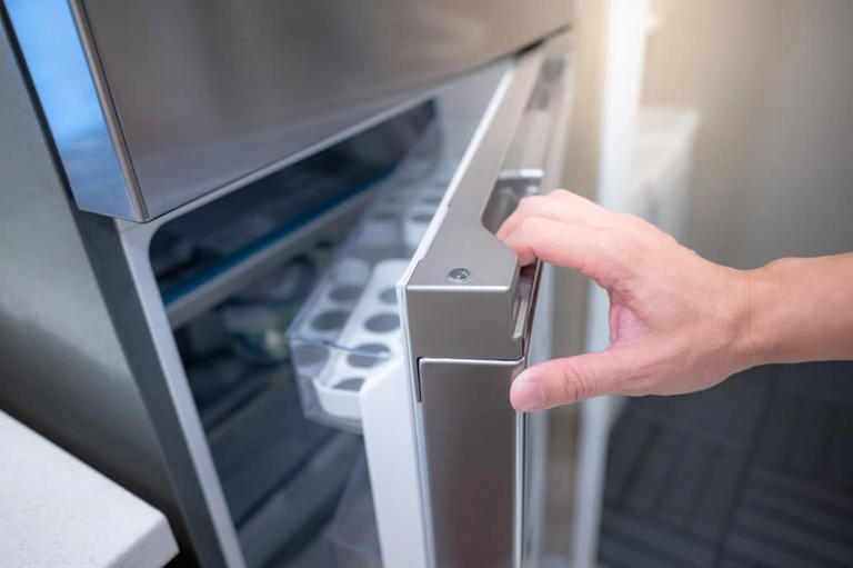 Bosch Finally Exposes What Fridge Magnets Are Actually Doing to Your ...