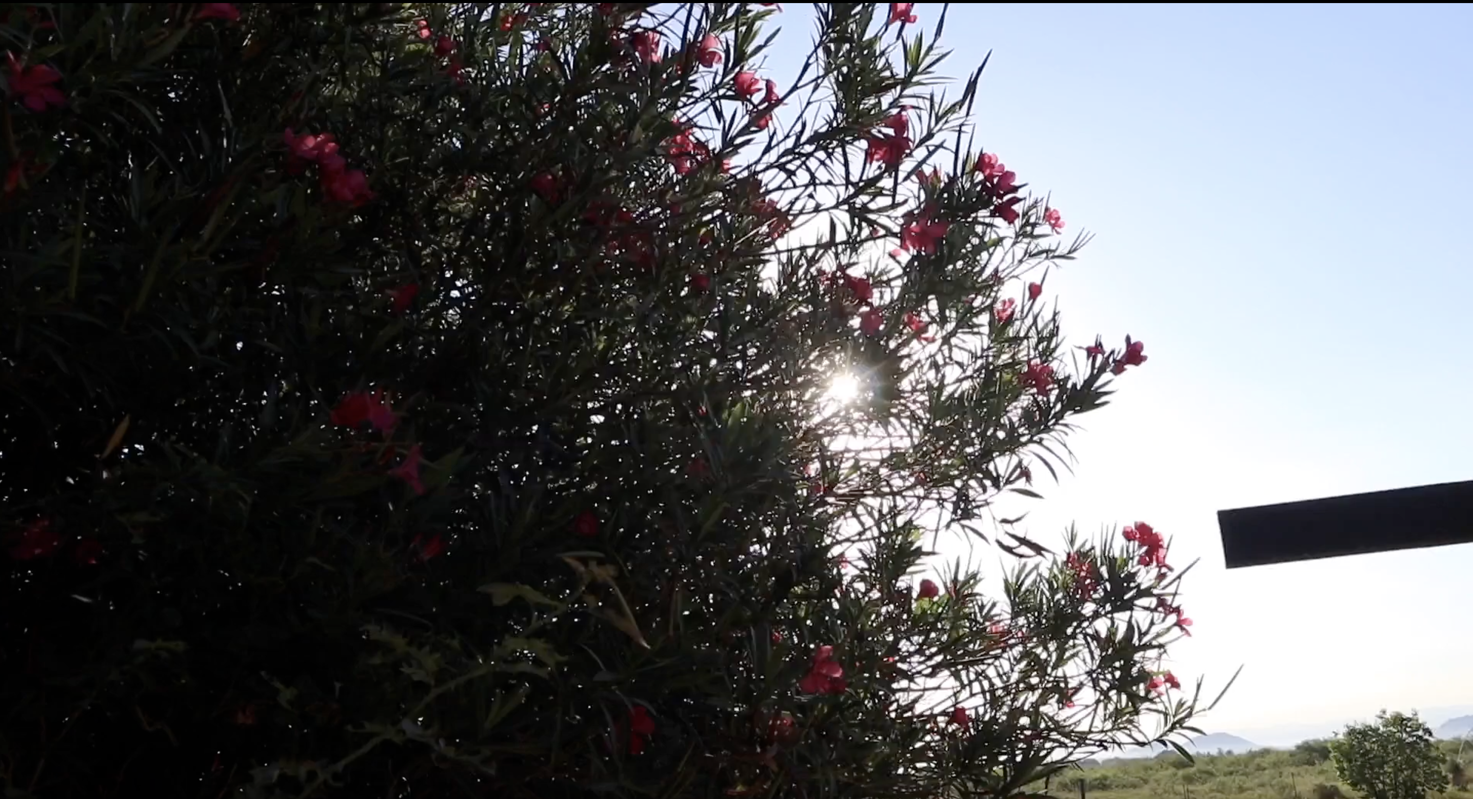 Decorating My House Spend The Day With Me ёяпа