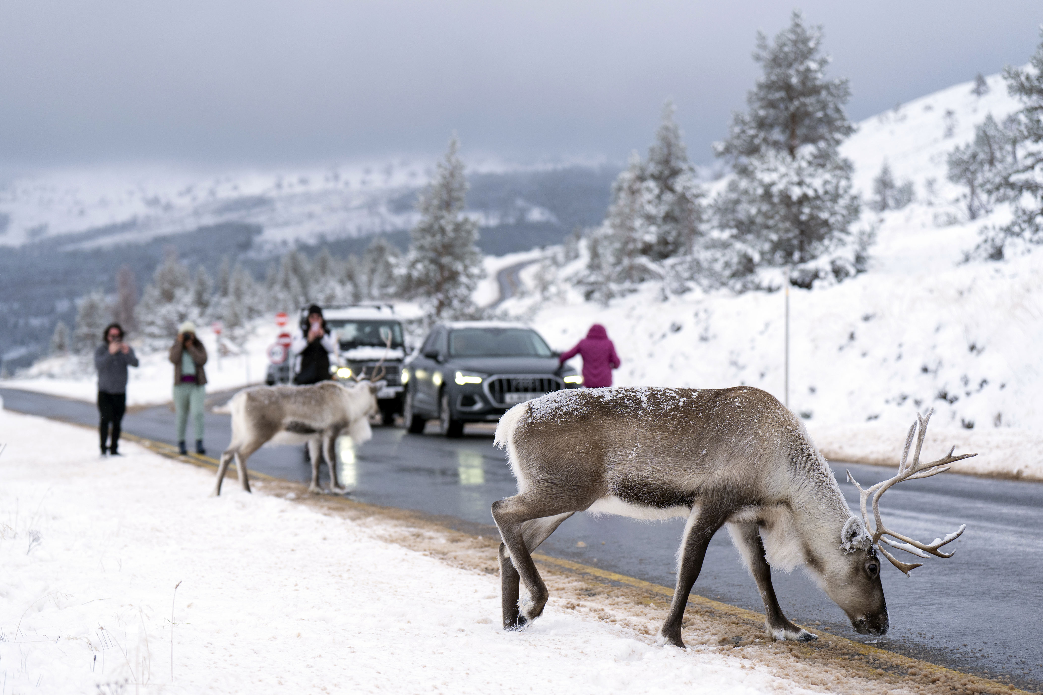 Met Office issues rare 'thundersnow' warning amid multiple ice and snow ...