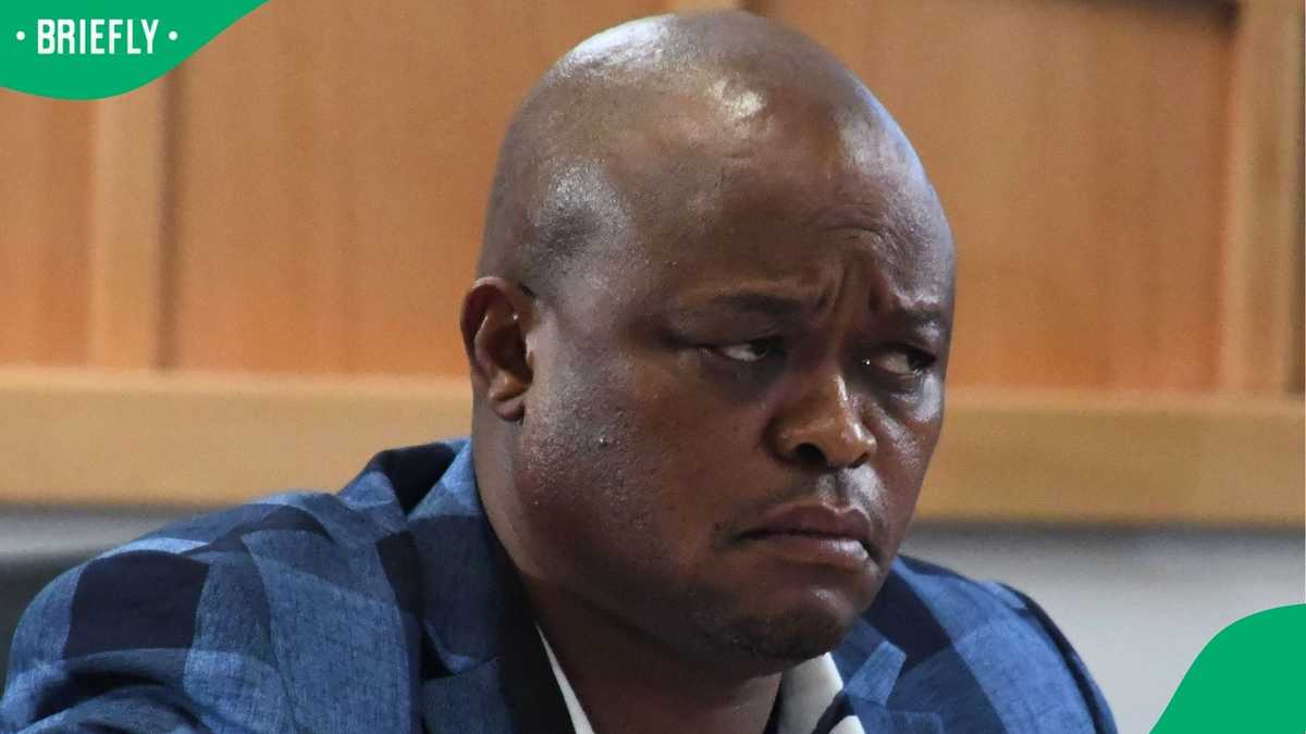 Brown Mogotsi tells Madlanga Commission of Inquiry how he survived alleged assassination attempt