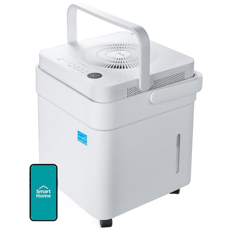 Sitemapcdatahttpsomobeldreferenzcomdo You Need A Dehumidifier In The Winter