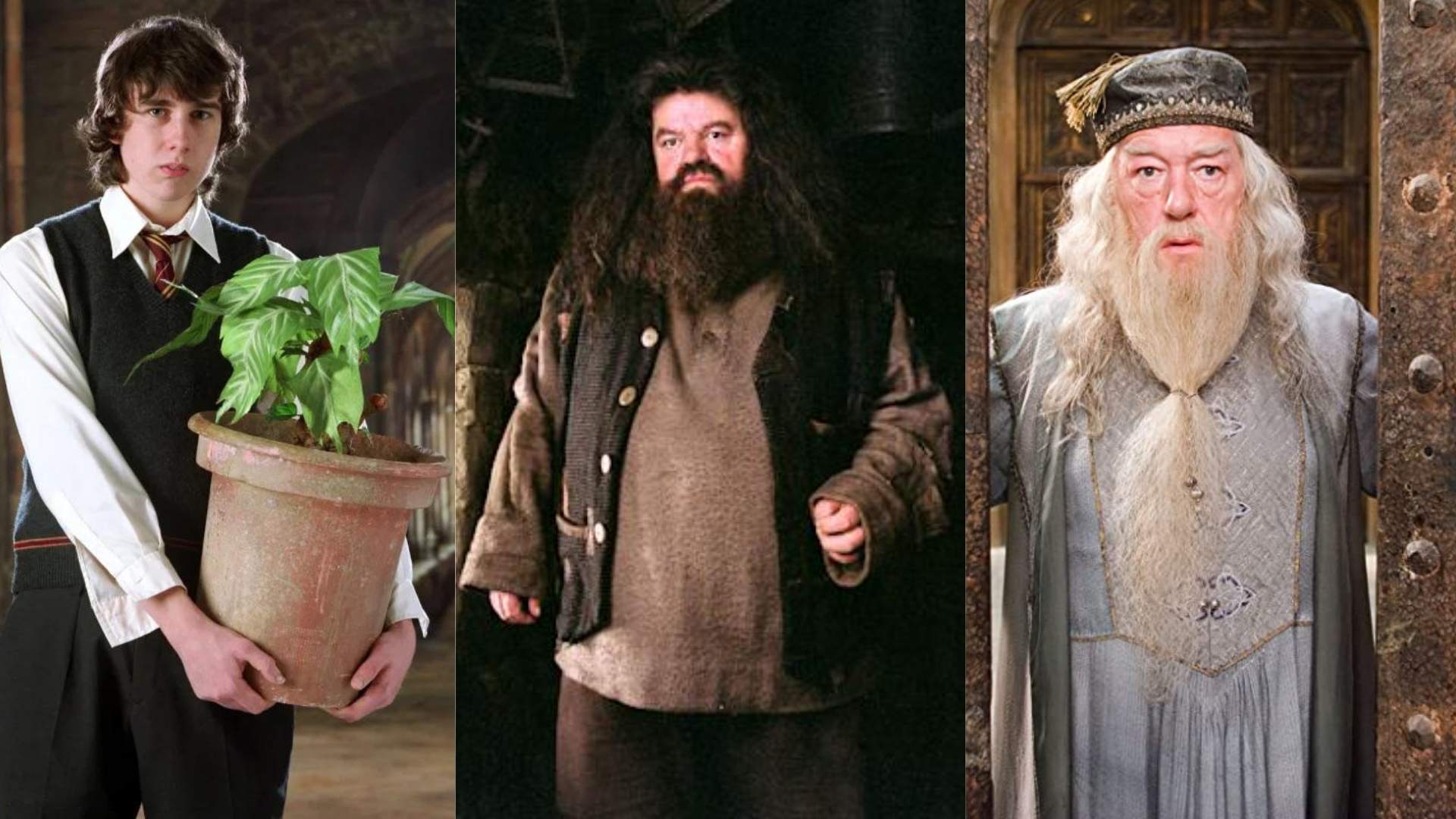 10 ‘Harry Potter’ Characters Who Led The Most Tragic Lives