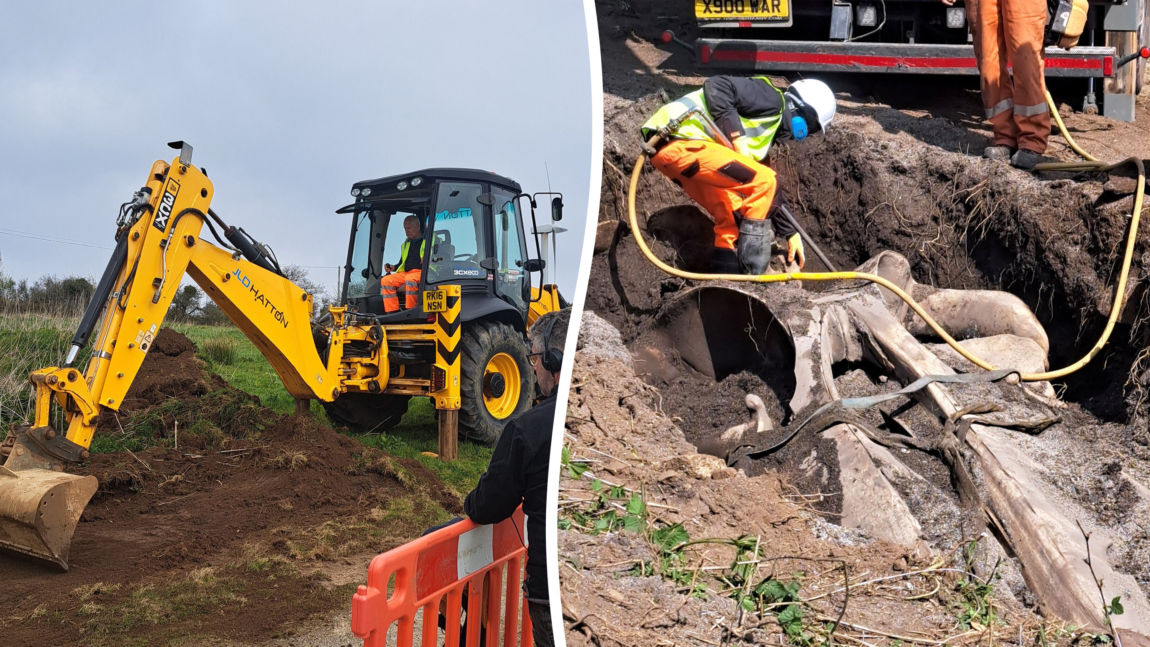 Scientists dig up two-tonne whale head found on Cornwall beach in 10 ...