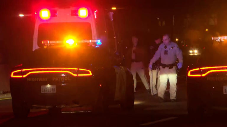Man hit, killed on Hwy 99 in Fresno