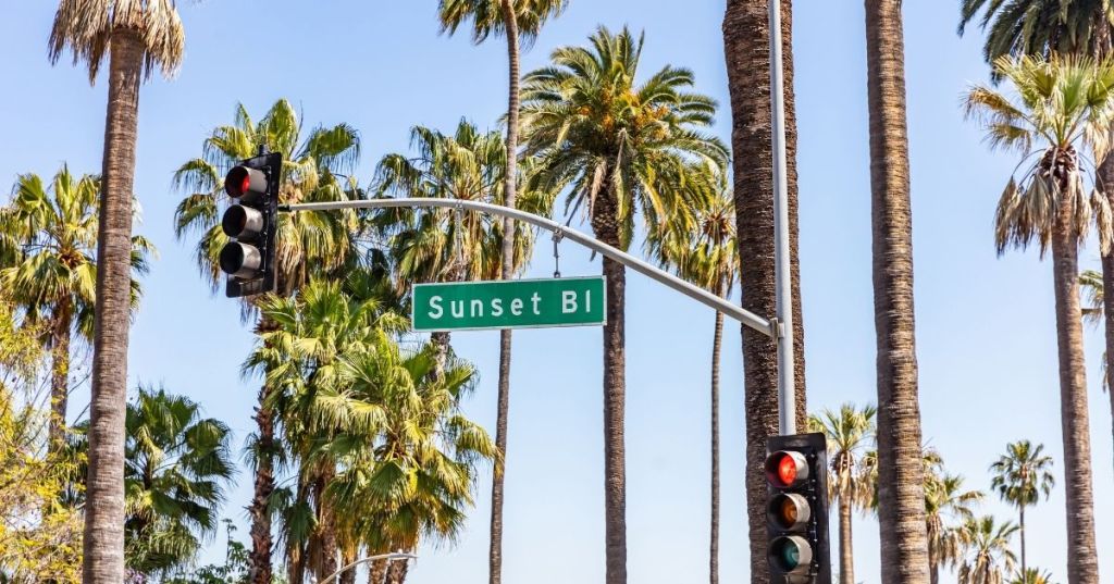 Palm trees along Sunset Boulevard in Los Angeles